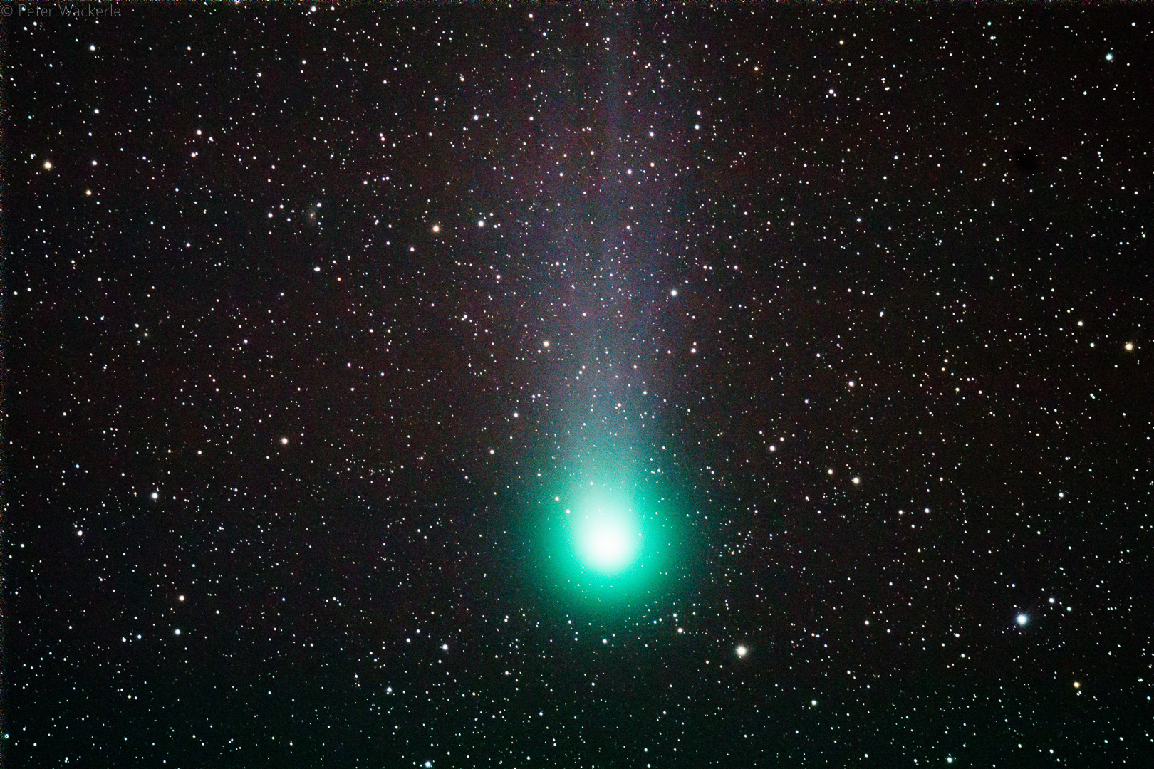 Lovejoy am 11.2.15.  10x60s, ED100, HEQ5, EOS 5D